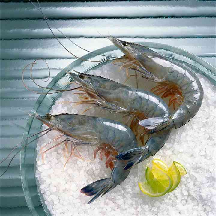 Prawn / KG (No Clean)