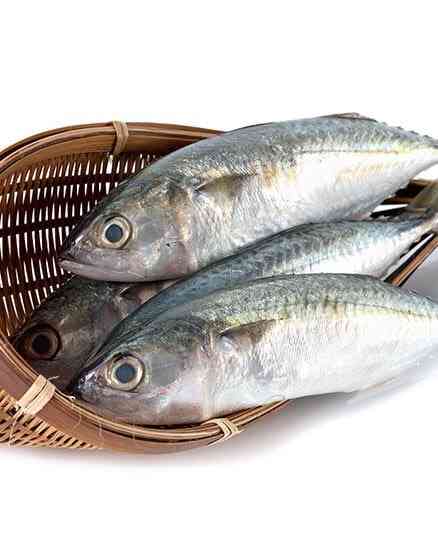 Indian Mackerel(Cleaned )